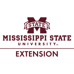 Today's MOM at MSU logo