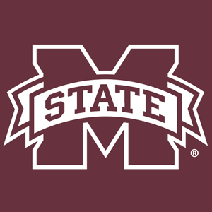 Veteran's Business Outreach Center at MSU logo
